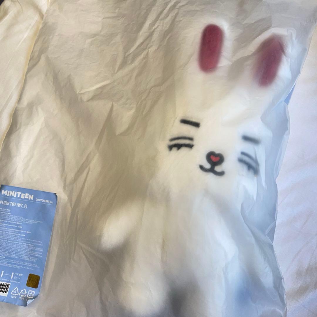 miniteen エスクプス ぬいぐるみ チェチェリー plush toy