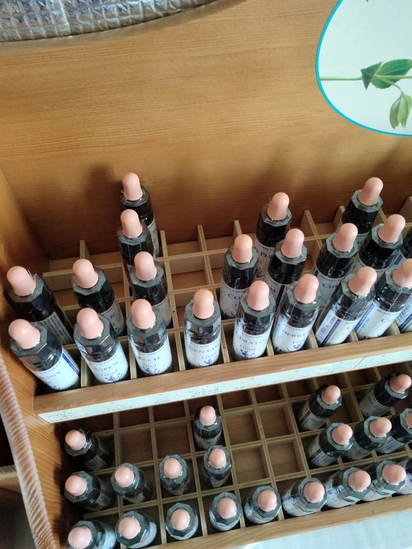 まりりん♪1740+1640×6=11580■ヒーリングハーブス社フラワー