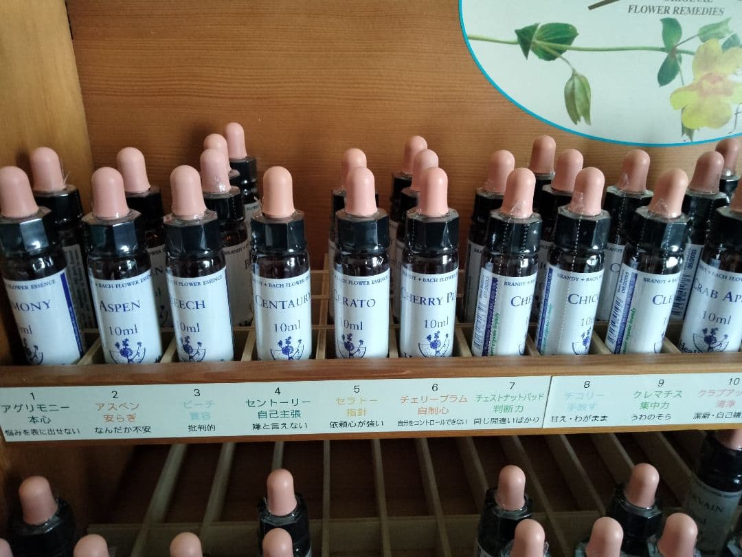 まりりん♪1740+1640×6=11580■ヒーリングハーブス社フラワー