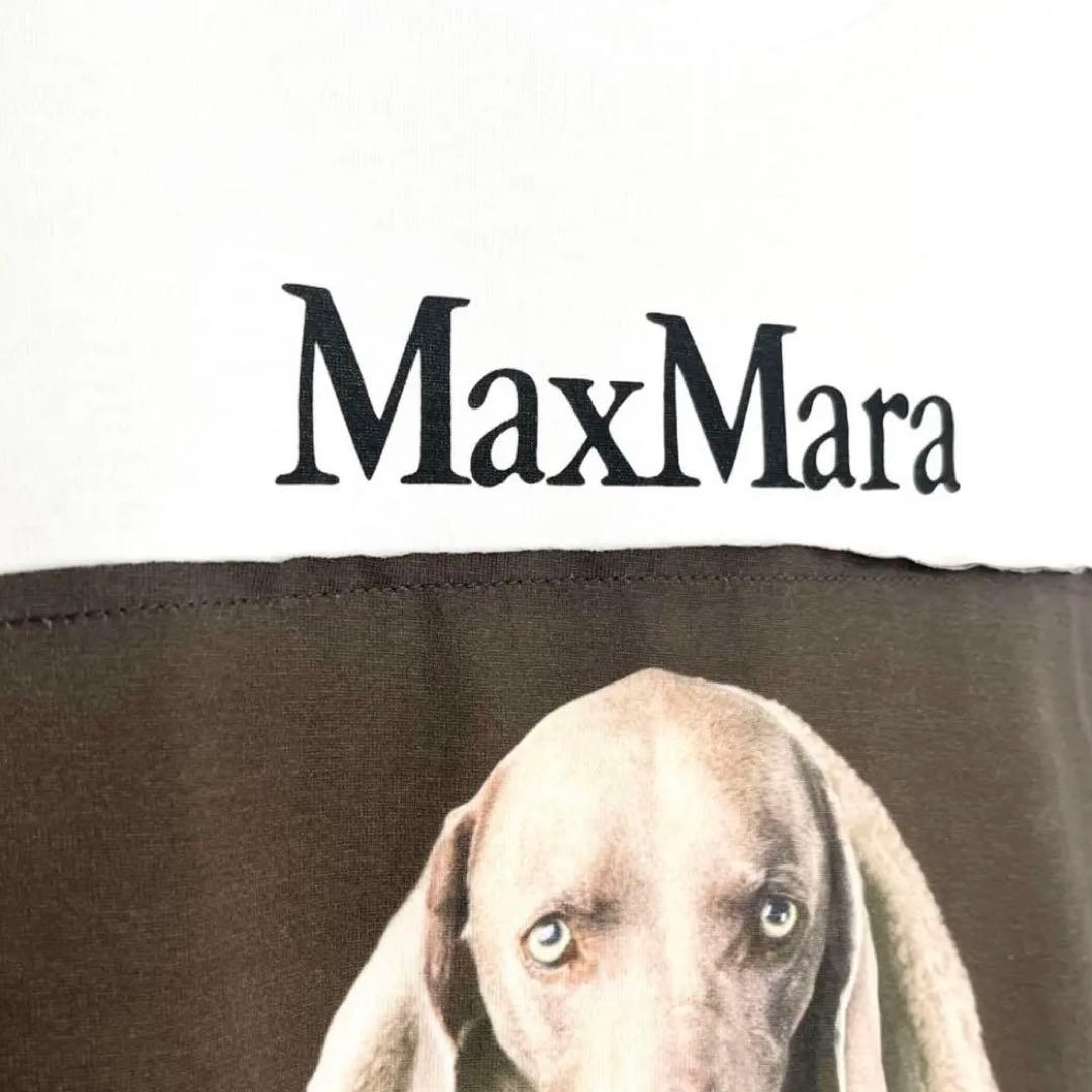 最終お値下げ MAXMARAマックスマーラ 国内 コラボ 犬 Tシャツ