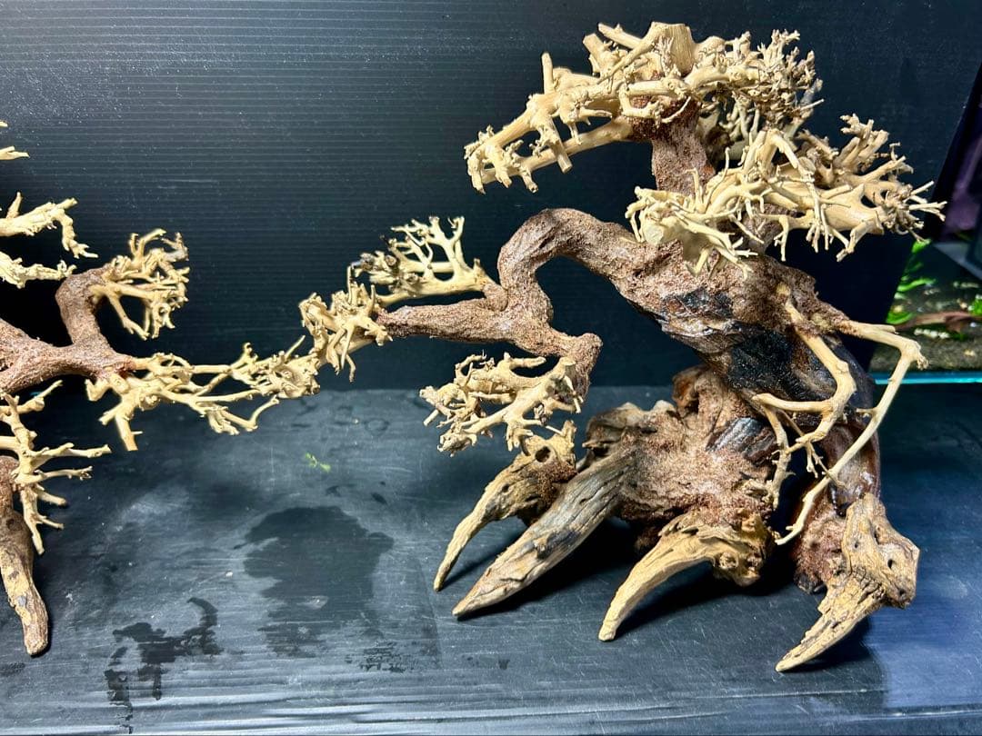 2本セット！盆栽流木Ｌサイズ