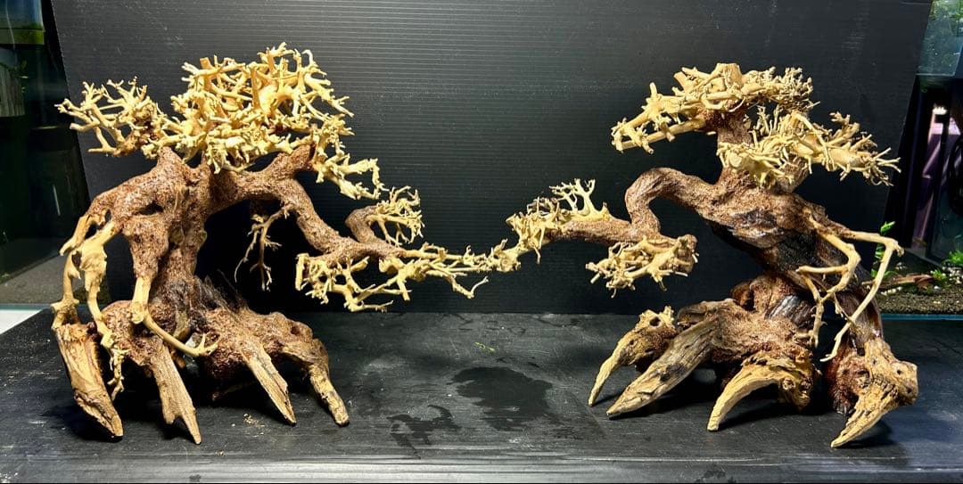 2本セット！盆栽流木Ｌサイズ