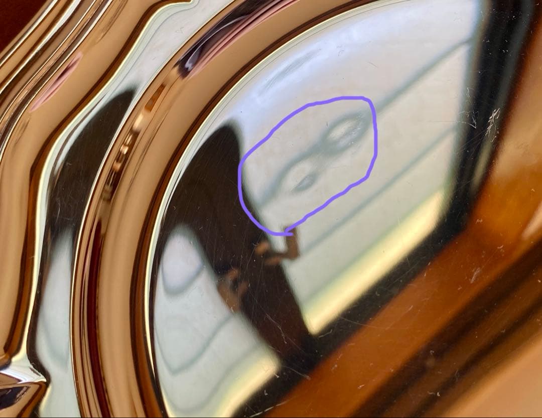 【☆超レアアイテム☆】クリストフル 花リムプレート