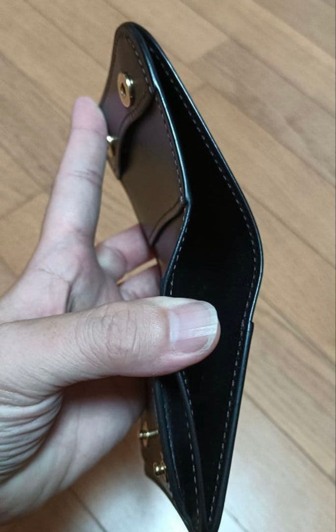 WILDSWANS ワイルドスワンズ PALM V2 パームV2