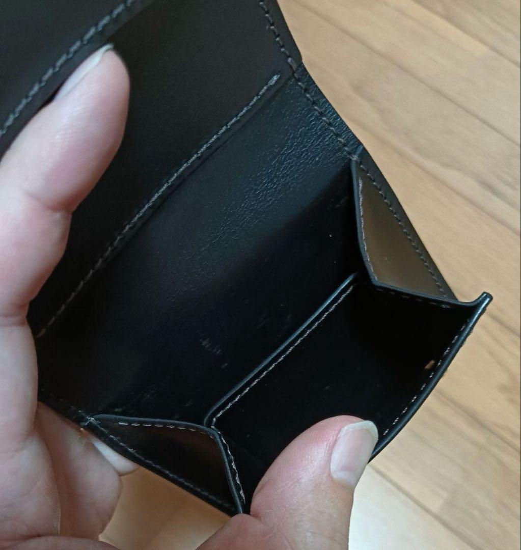 WILDSWANS ワイルドスワンズ PALM V2 パームV2