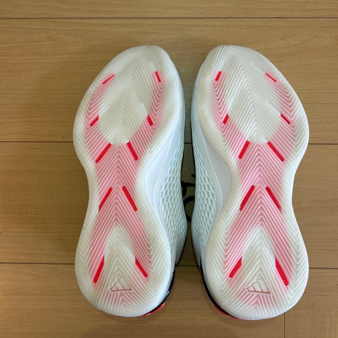 シューズ(男性用) AE1