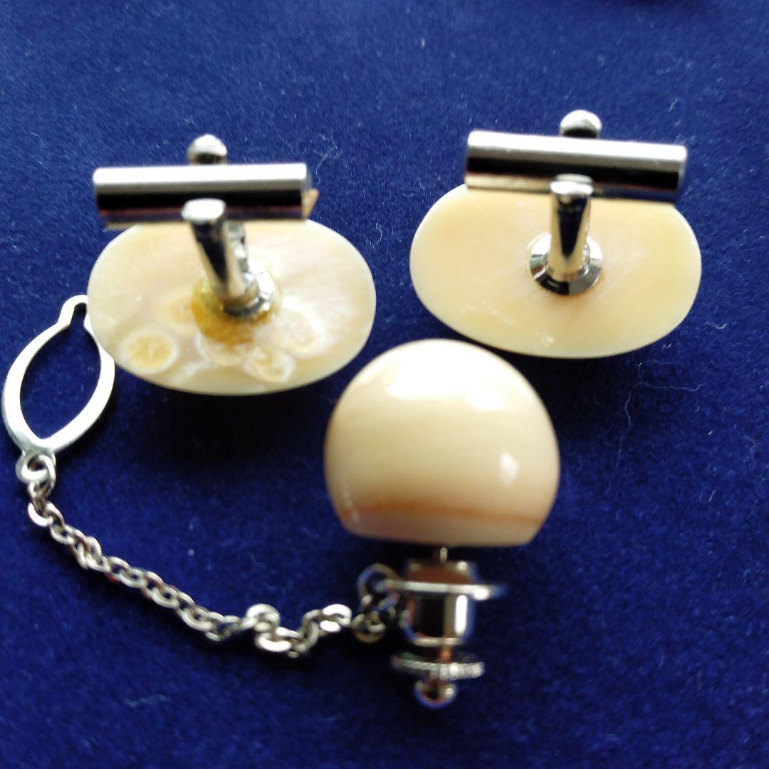 鯨歯　マッコウクジラ　カウス・ネクタイピン10セット（箱なし）