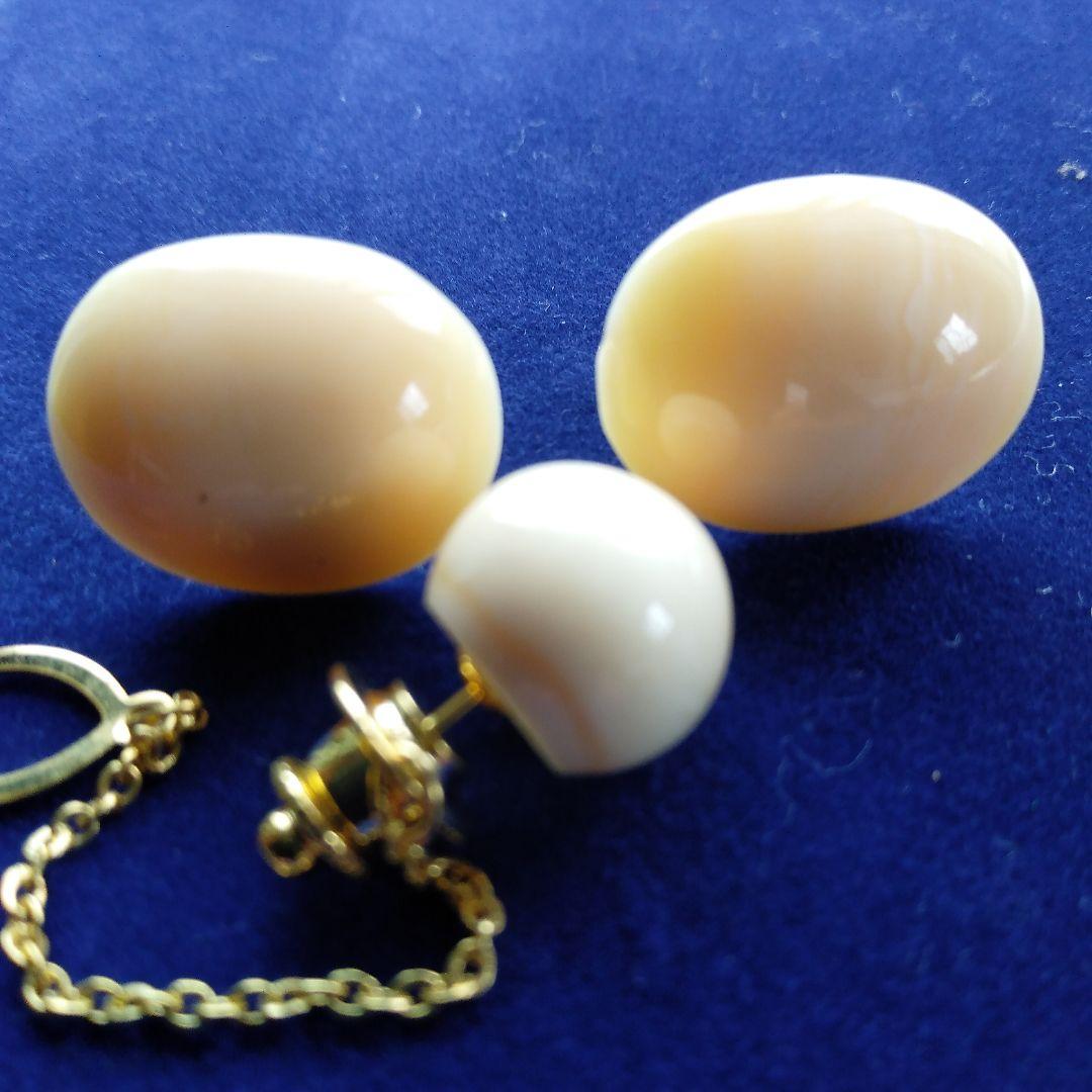 鯨歯　マッコウクジラ　カウス・ネクタイピン10セット（箱なし）