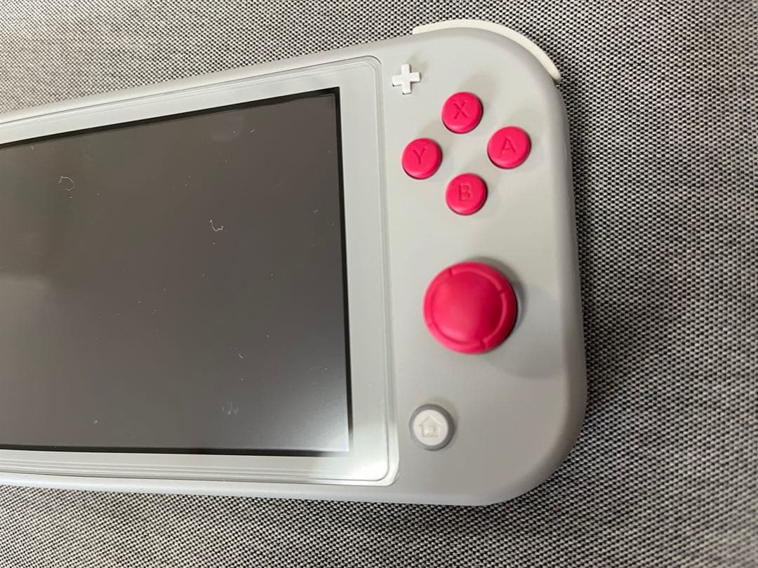 Nintendo Switch Lite ザシアン・ザマゼンタ