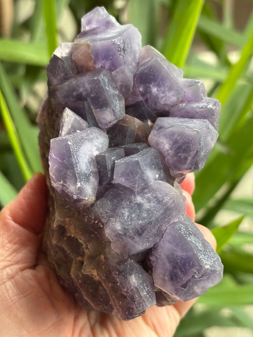 レア原石　ドリームアメジスト　夢幻紫水晶　1078g 夢の守護石　クラスター