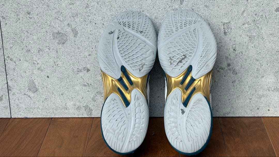 【ASICS】 SKY ELITE FF2 26.0cm 限定カラー