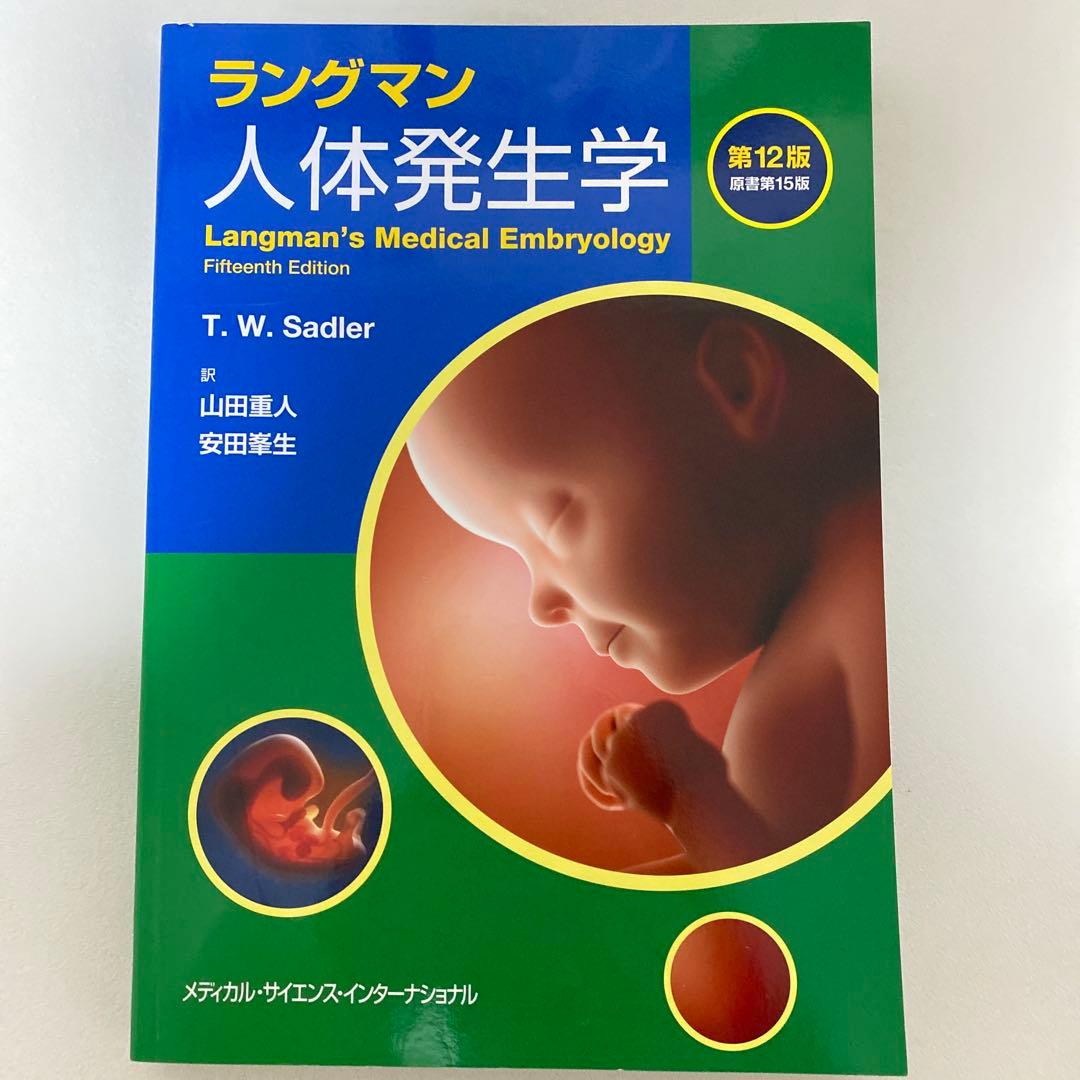 ラングマン 人体発生学 第12版