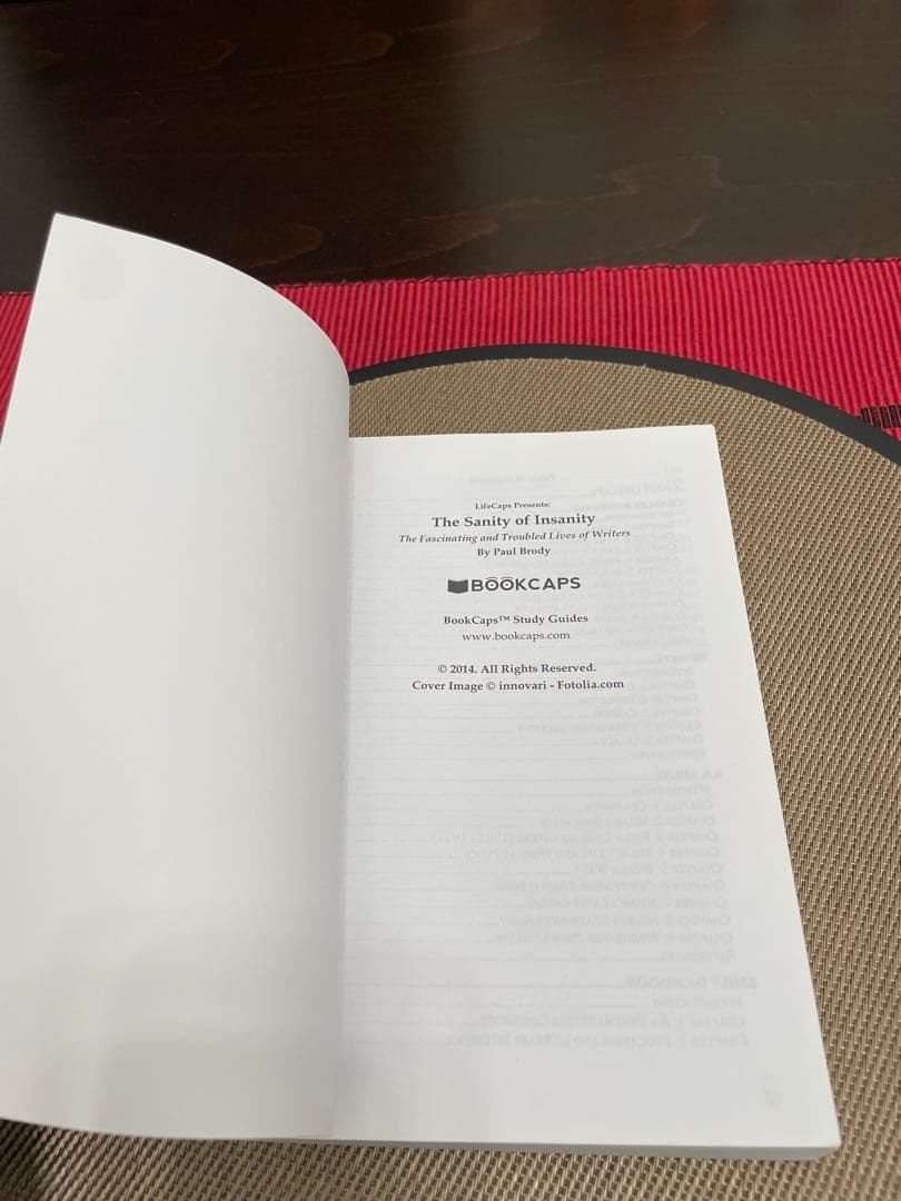 洋書 THE SANITY OF INSANITY by PAUL BRODY