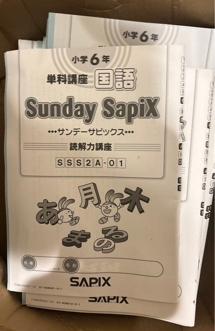 Spring Daily Summer SapiX 6年 算数 1年分