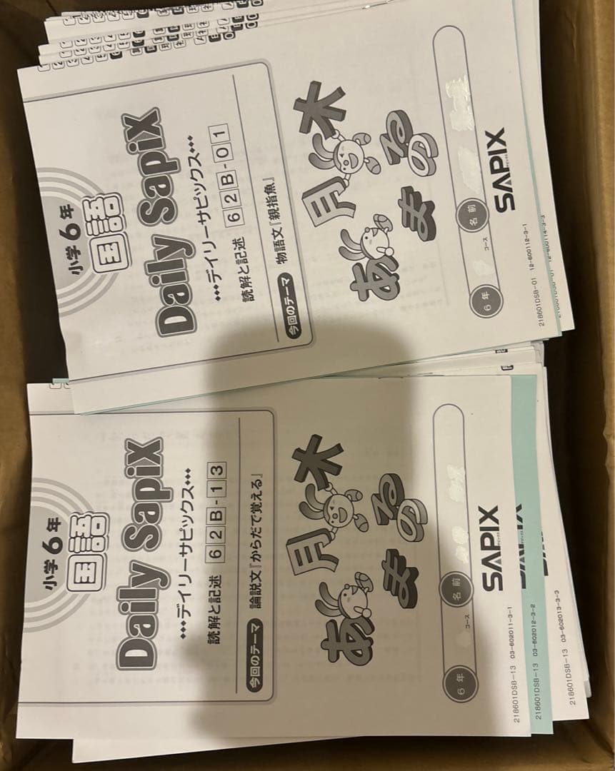 Spring Daily Summer SapiX 6年 算数 1年分