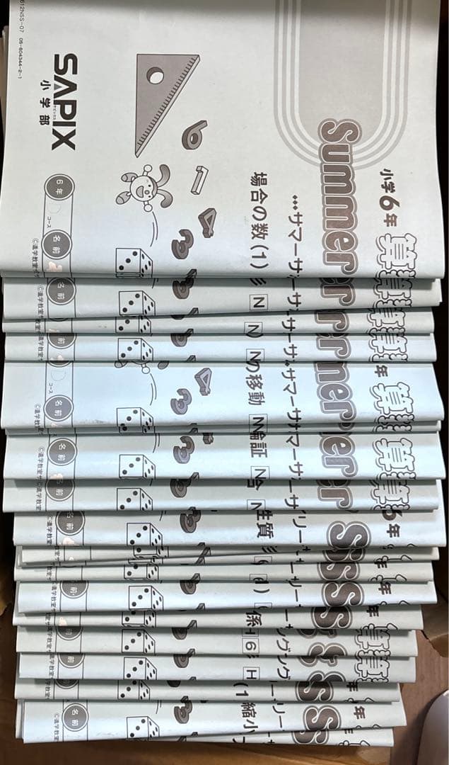 Spring Daily Summer SapiX 6年 算数 1年分