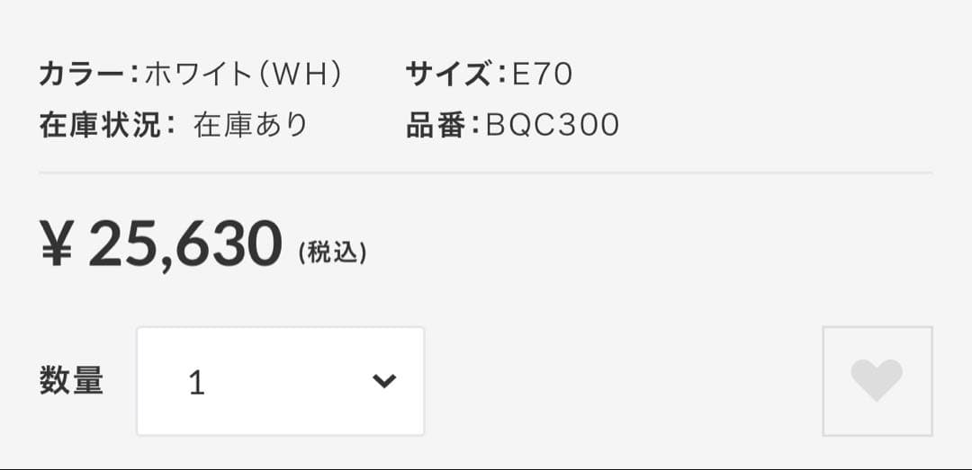 ワコール スタイルチェンジャー ブライダルインナー BQC300 E70
