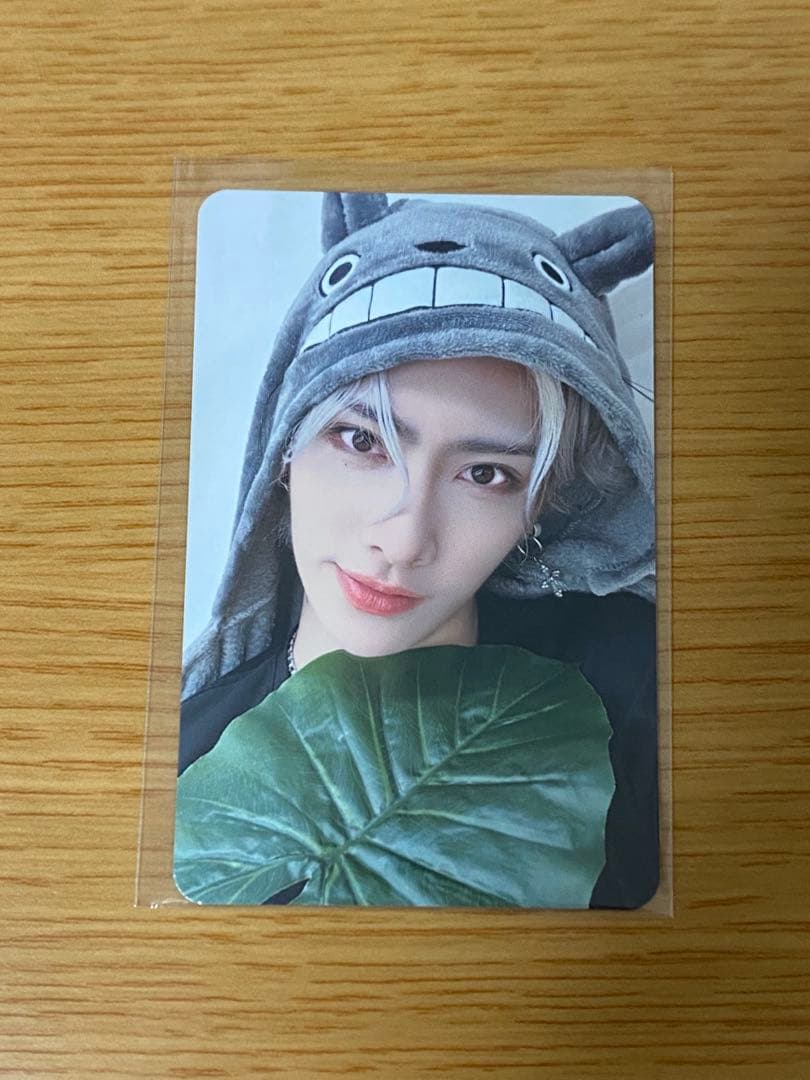 リッキー everline ラキドロ トトロ 新世界 ロッテ ゼベワン