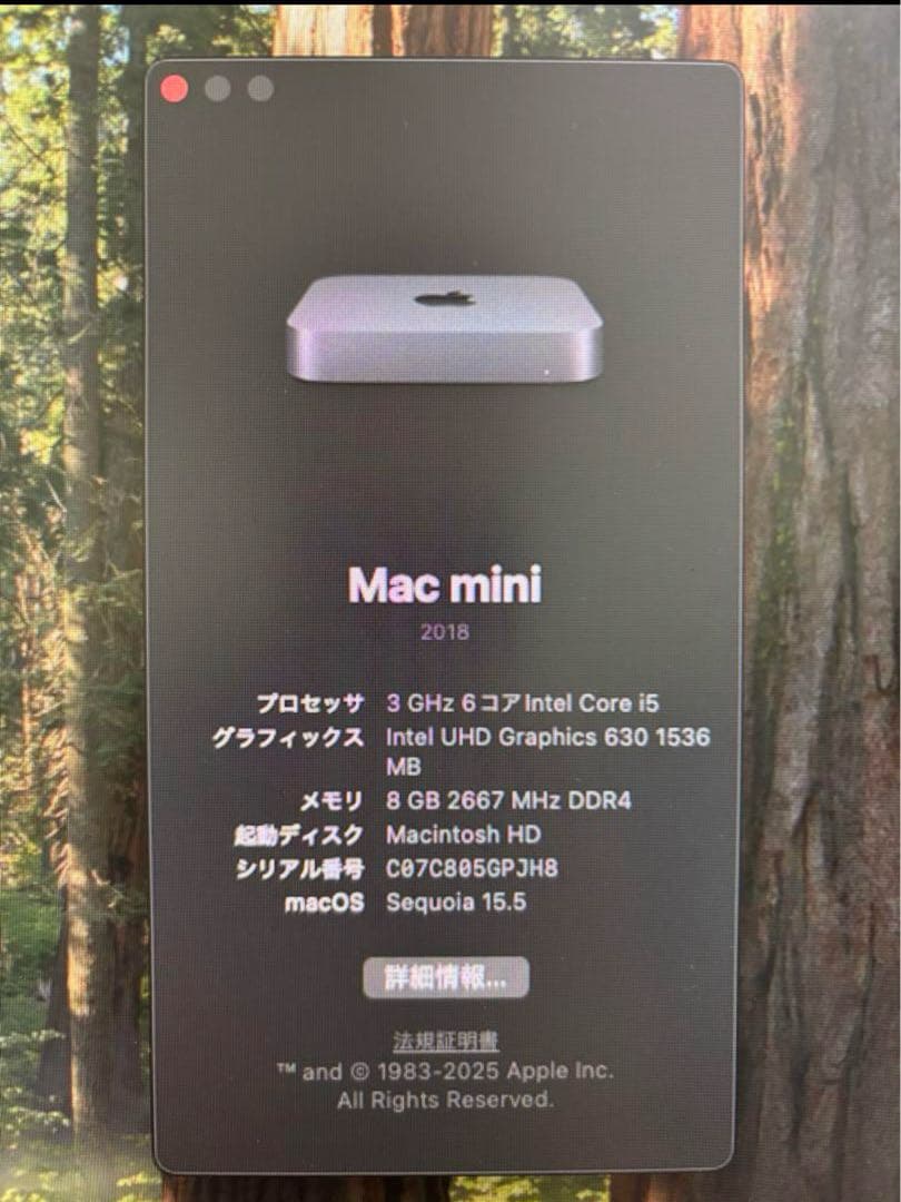 Apple Mac mini 2018 i5 8G 512G スペースグレー