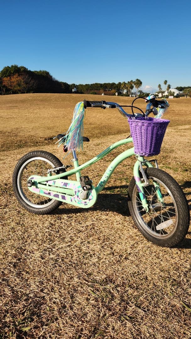 ELECTRA SPROCKET 16\