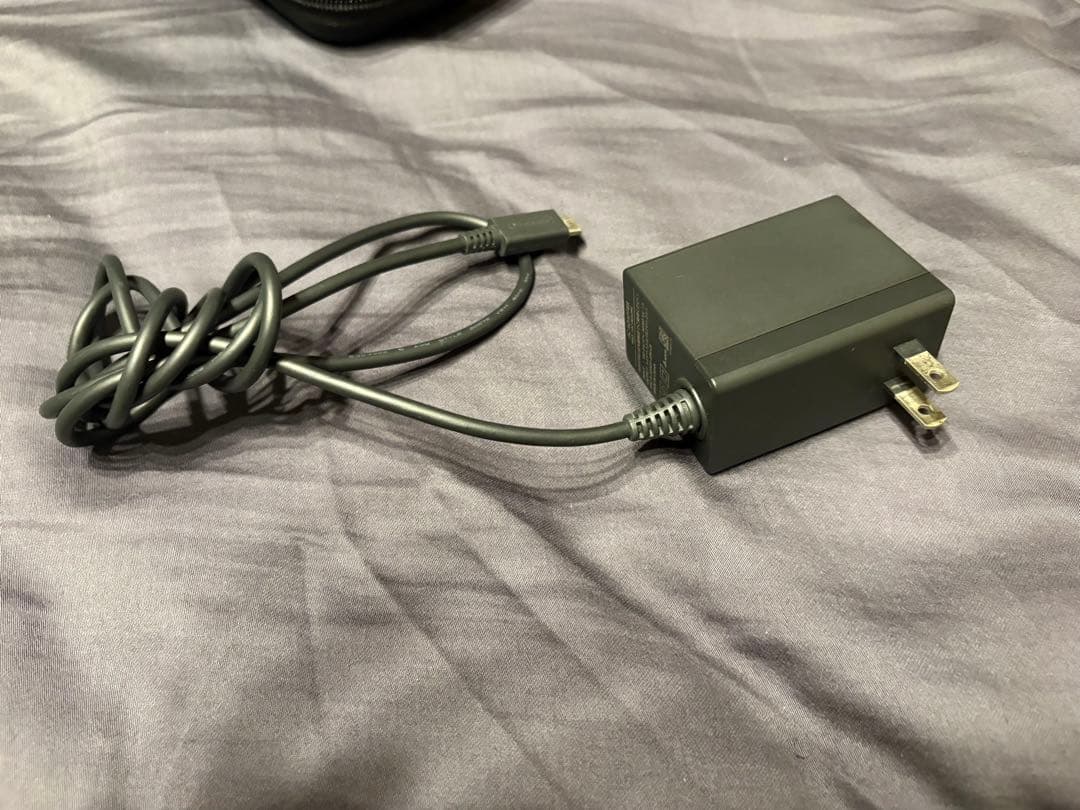 Nintendo Switch Lite グレー キャラクター