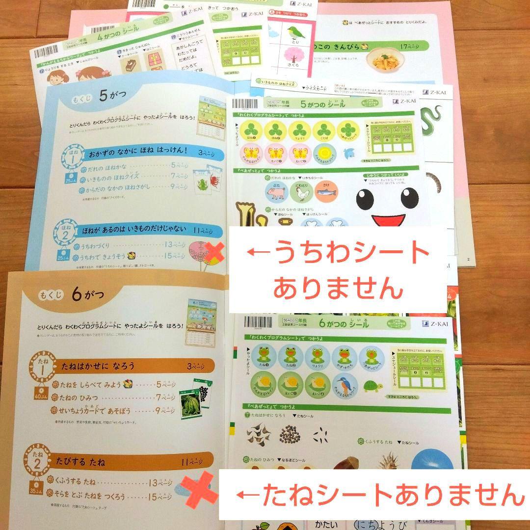 Z会　年長　ぺあぜっと　かんがえるちからわーく 2024年4月〜2025年3月