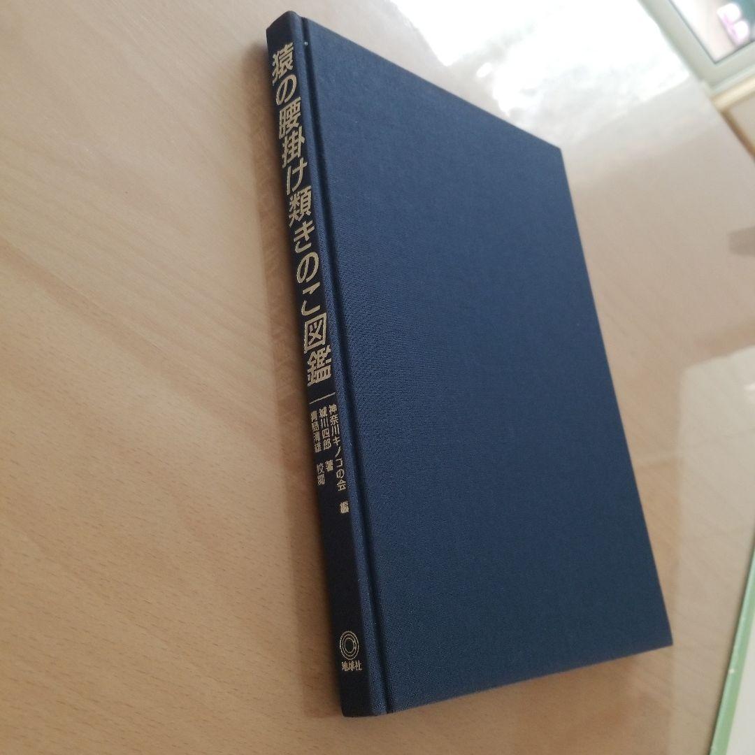 猿の腰掛け類　きのこ図鑑