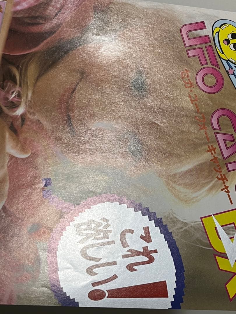 セガ UFOキャッチャーDX ドリームキャッチャー チラシ セット