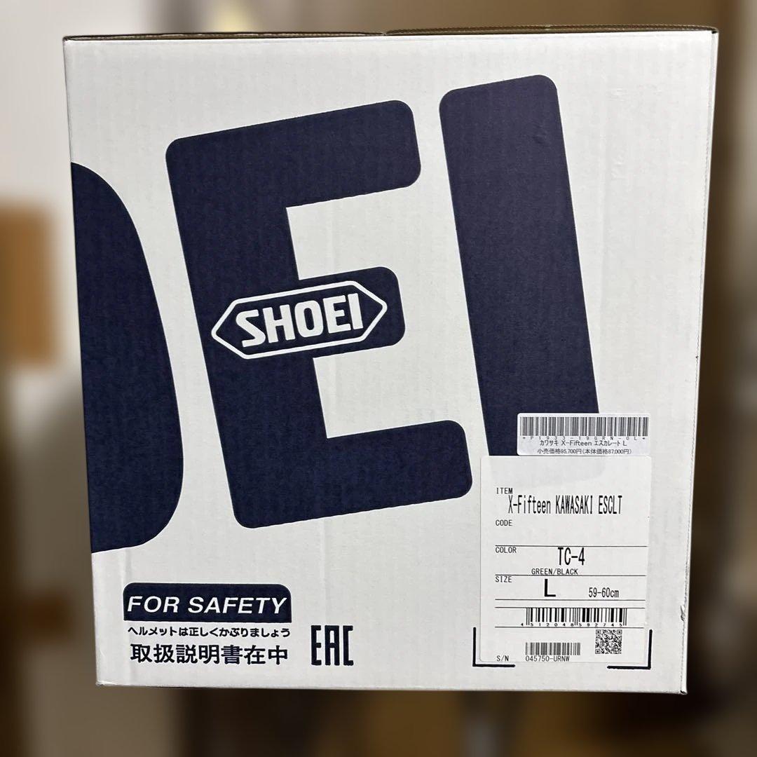 X-Fifteen KAWASAKI ESCLT (カワサキ エスカレート)