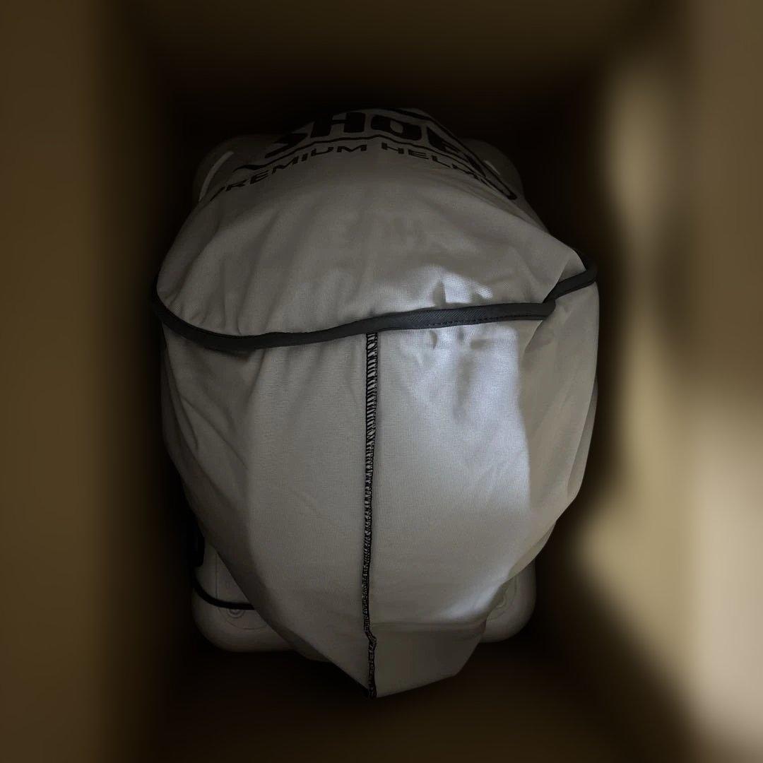 X-Fifteen KAWASAKI ESCLT (カワサキ エスカレート)