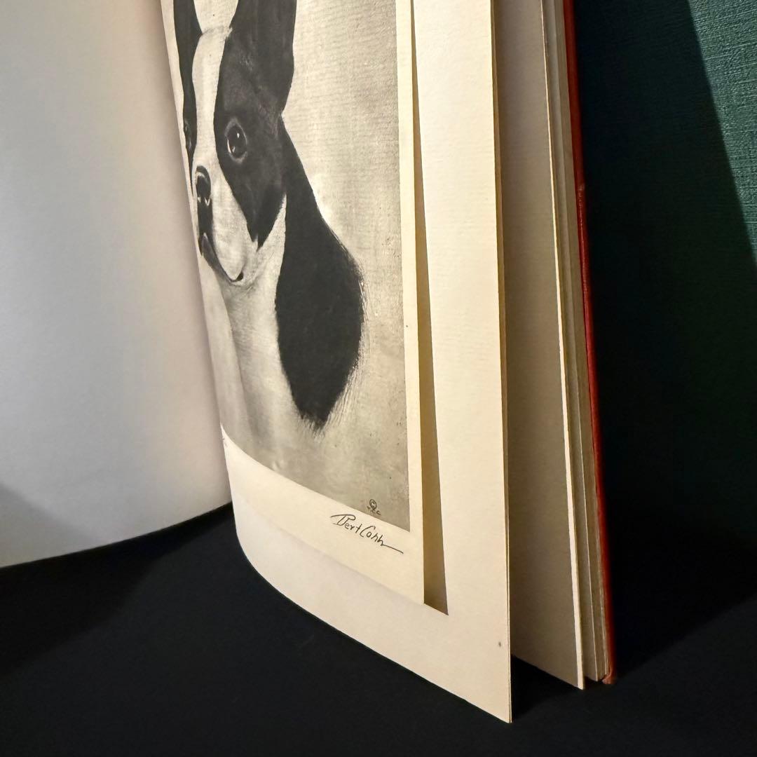 1931年出版 エッチング 犬 BERT COBB アメリカ