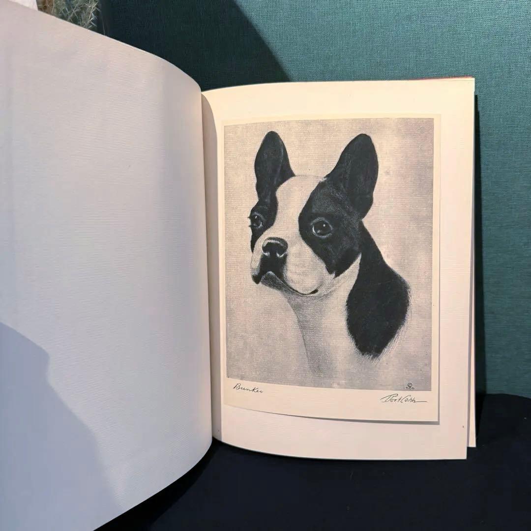 1931年出版 エッチング 犬 BERT COBB アメリカ