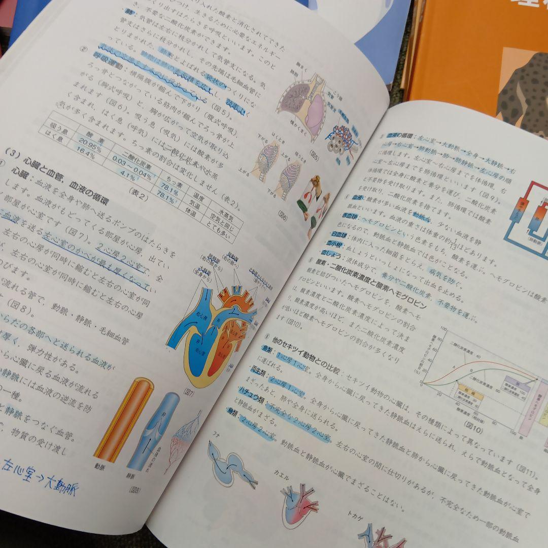 四谷大塚６年予習　演習上/漢字上下/国算最難関上　中古　2024年版