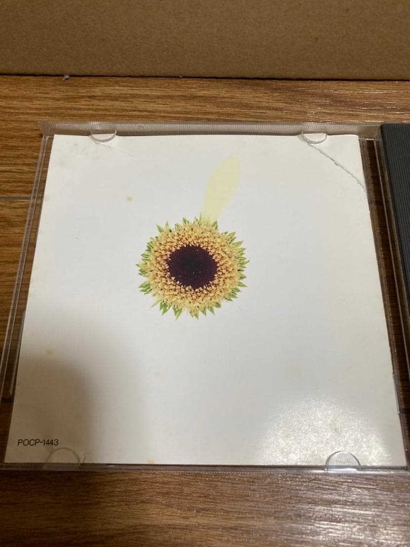 ヴィヴィアン・ライ 黎瑞恩 Vivian Lai  ひとりずつの夢