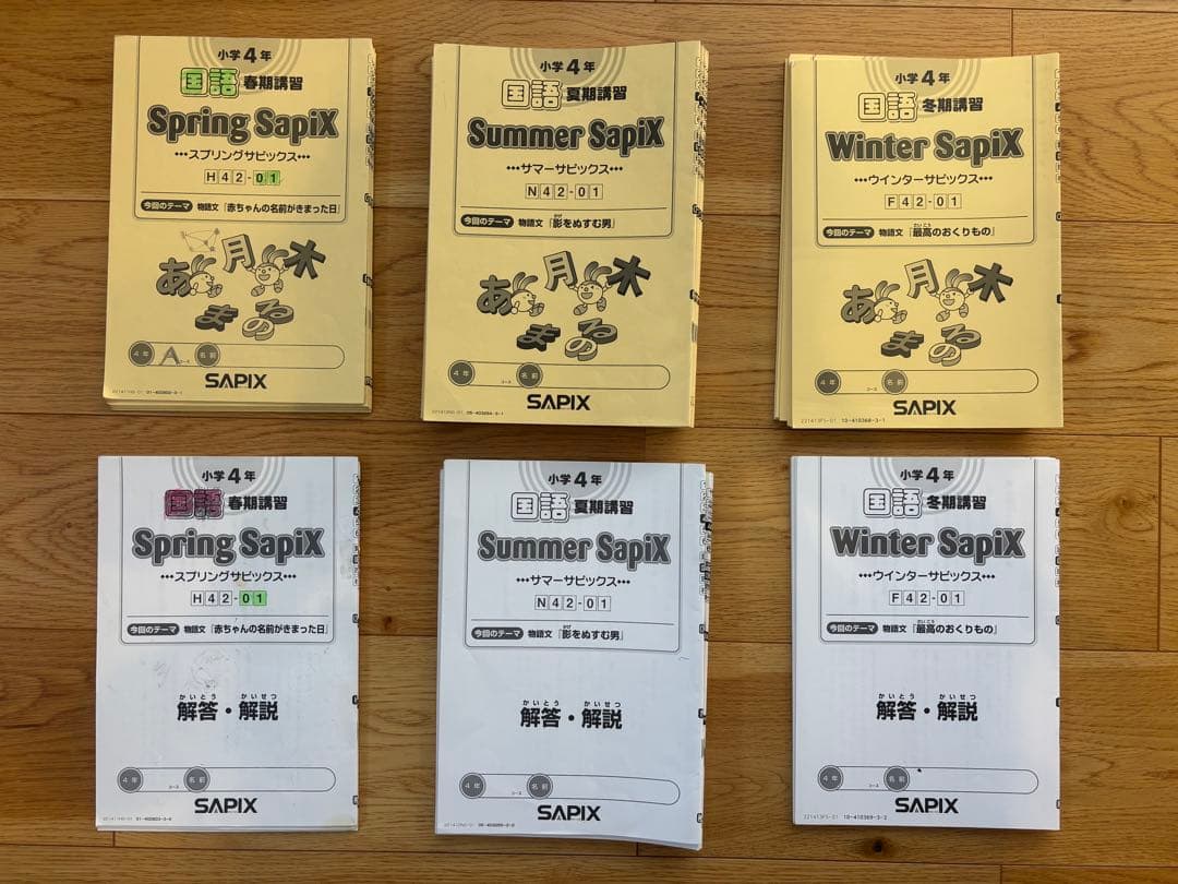 Daily SapiX 学習教材 4年生セット