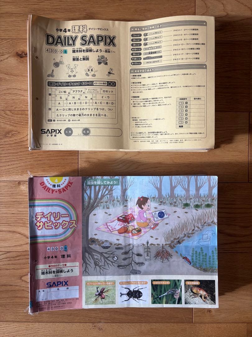 Daily SapiX 学習教材 4年生セット