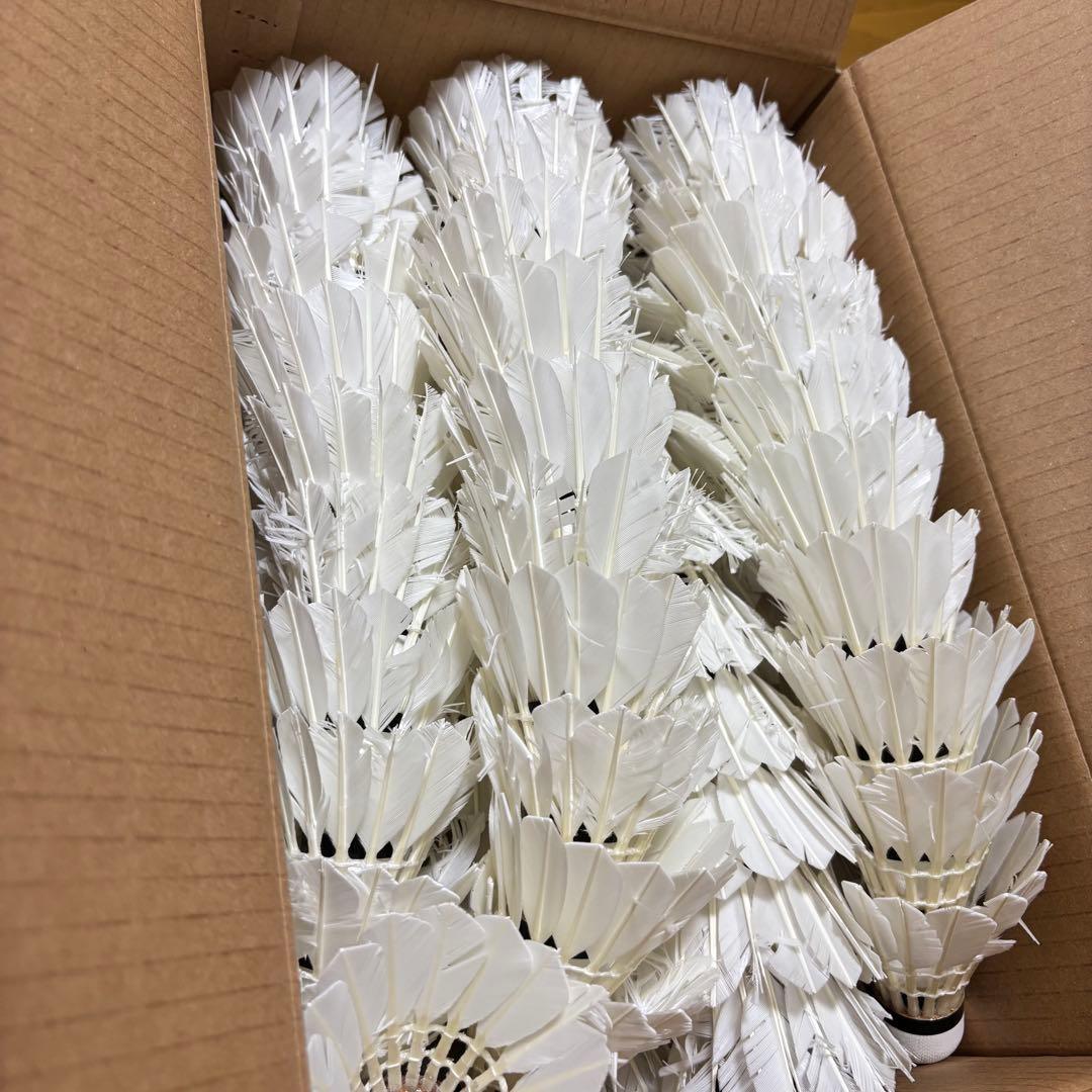 【バドミントンシャトル170個】✨第1種検定合格球✨中古　ノック　バッティング