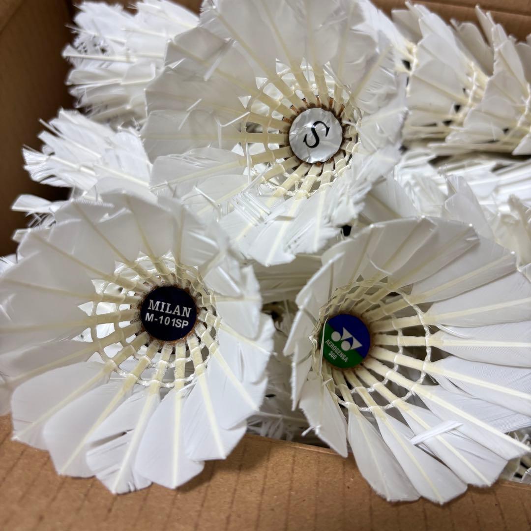 【バドミントンシャトル170個】✨第1種検定合格球✨中古　ノック　バッティング