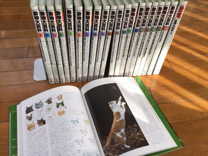 動物大百科　全20巻＋別冊(恐竜) 平凡社