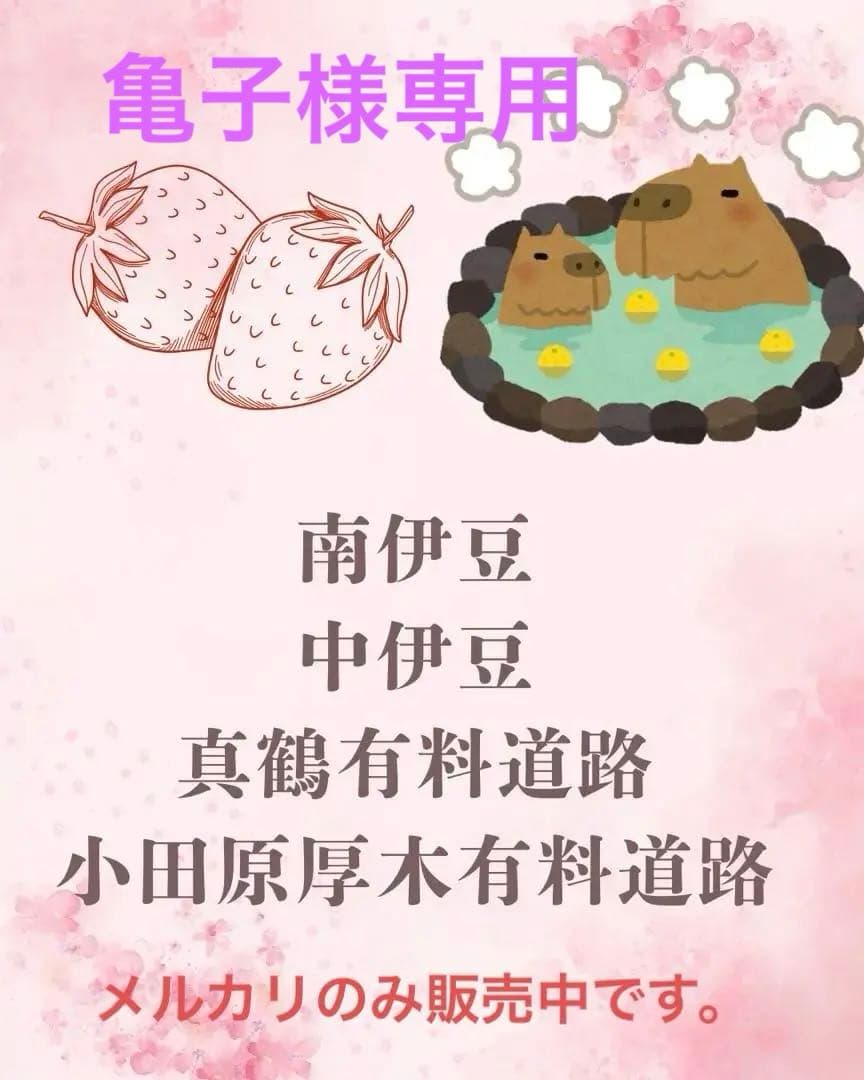 バスガイドオリジナル教本　南伊豆　中伊豆　からの　東京方面に向けての案内