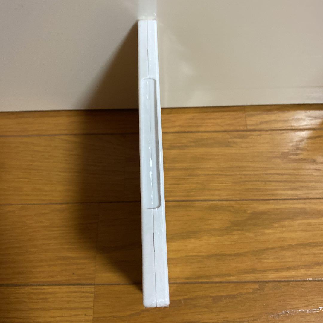 希少新品未開封　アイビィ・ザ・キウィ?