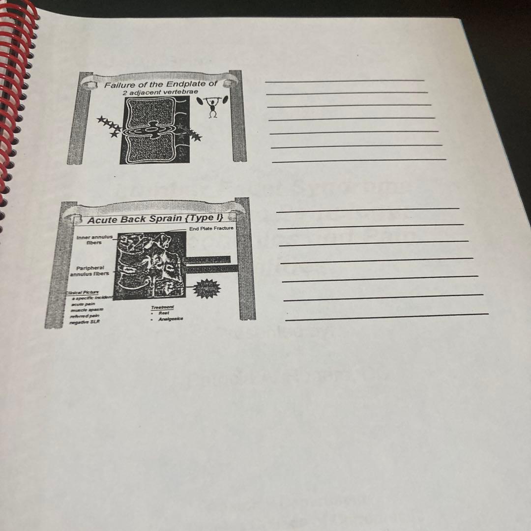 アメリカカイロプラクティック大学セミナーノート！超貴重！ 日本人向け。