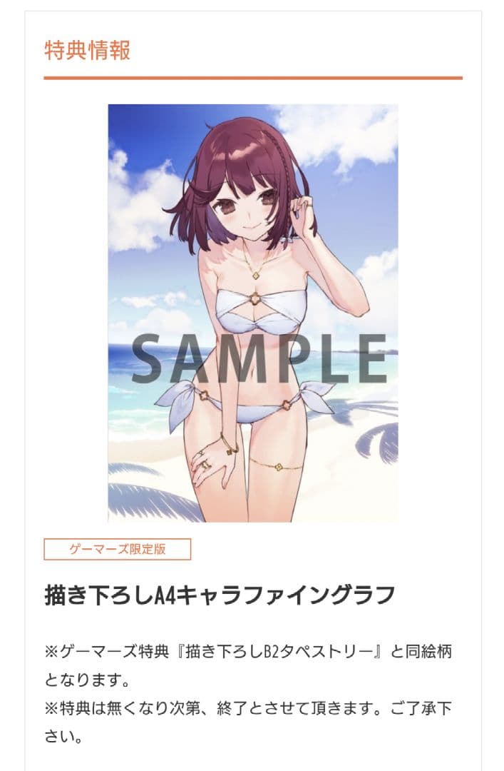 ソフィーのアトリエ2 〜不思議な夢の錬金術士～ PS4版　ゲーマーズ超限定版