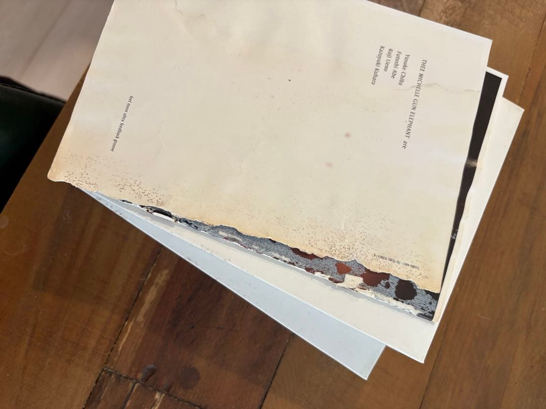 THEE MICHELLE GUN ELEPHANT DVD 12枚組