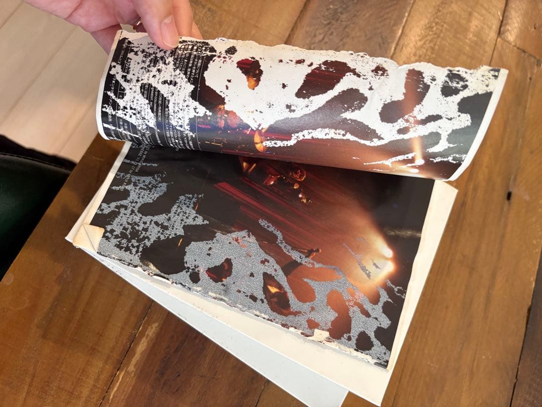 THEE MICHELLE GUN ELEPHANT DVD 12枚組