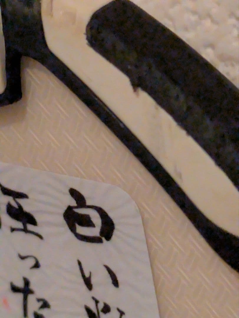 サロモン スキー板 enduro LX750R