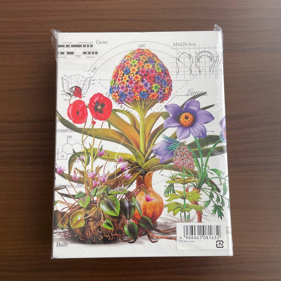 ゆず「図鑑 Visual Art Box (完全数量限定盤)」