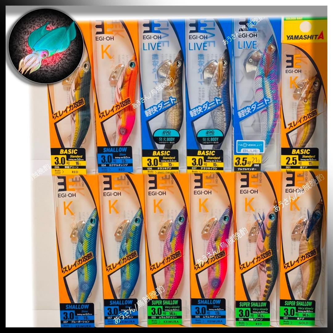 エギ王12本セット a1633