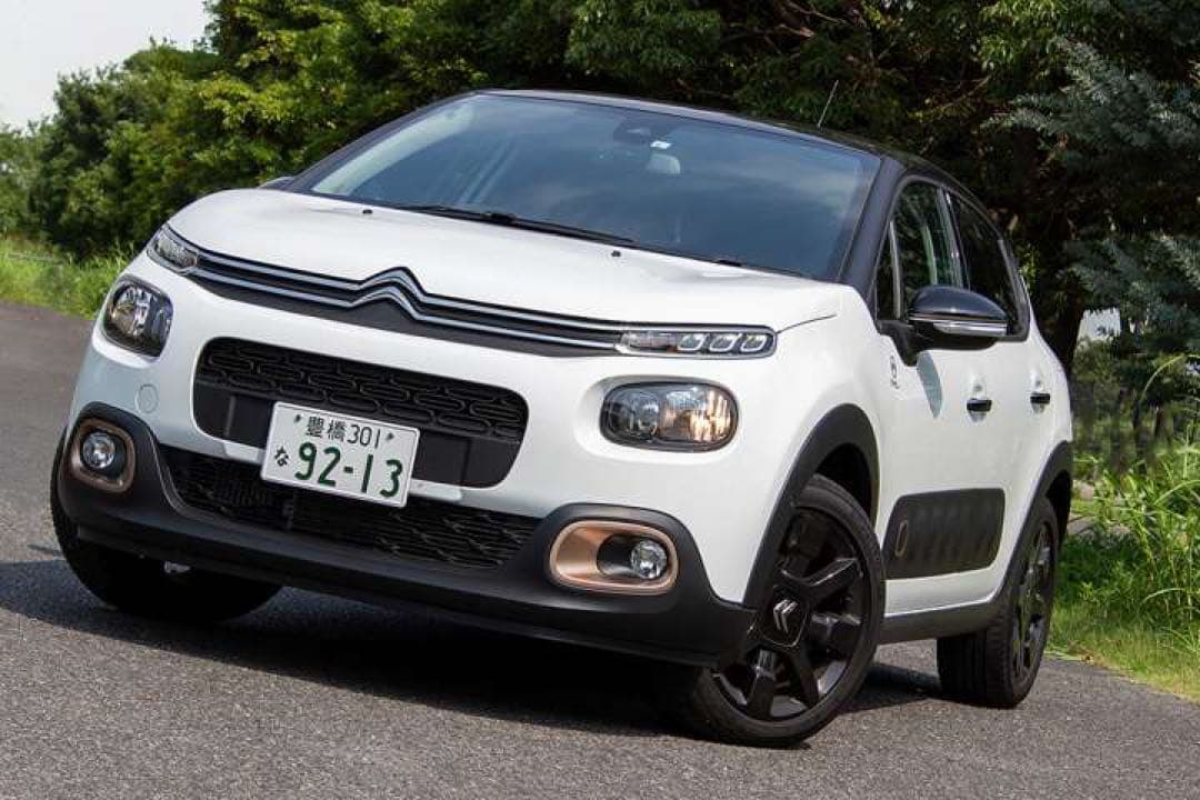 【だいたい2.0】シトロエンC3 フォグランプベゼル(限定車用)