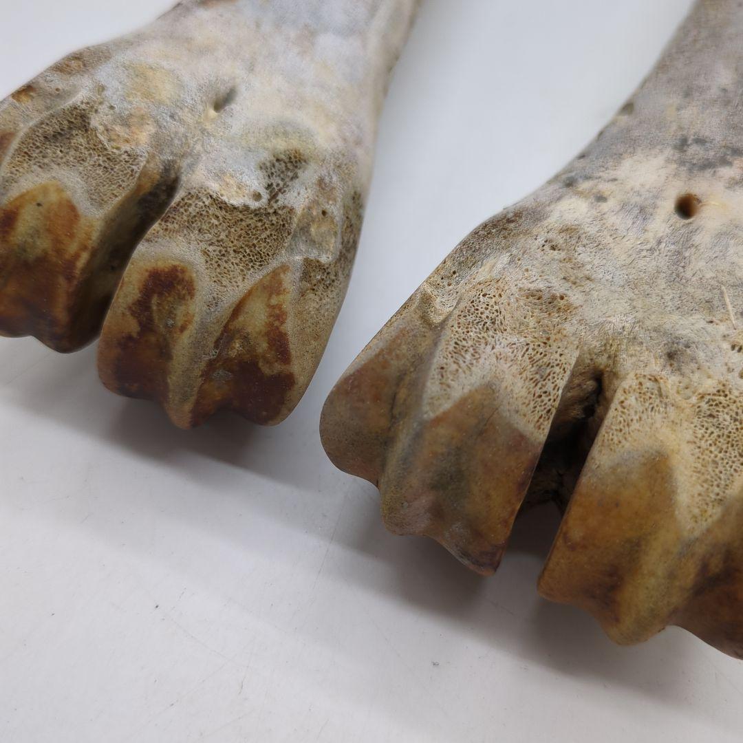 骨の彫刻品　牛骨？　骨董品　彫刻　時代物